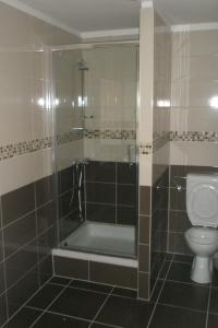 a bathroom with a shower and a toilet at Holiday house with a parking space Olib - 17985 in Olib