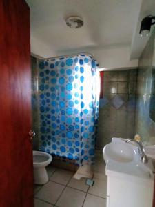 烏斯懷亞的住宿－Oshovia Mirador Martial，浴室配有蓝色瓷砖淋浴和卫生间。