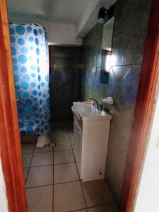 烏斯懷亞的住宿－Oshovia Mirador Martial，一间带水槽和淋浴的浴室