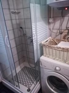a bathroom with a shower and a washing machine at Holiday house with a parking space Gusti Laz, Gorski kotar - 17993 in Delnice