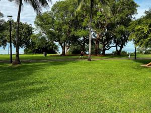 uma pessoa caminhando em um parque com palmeiras em Darwin Esplanade Central Official em Darwin