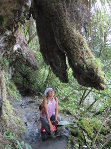 Fotografie z fotogalerie ubytování Portal del Sendero Panche v destinaci Sasaima