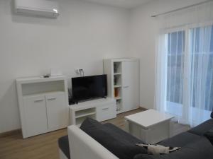 sala de estar con sofá y TV en Apartments with a parking space Opuzen, Neretva Delta - Usce Neretve - 18070, en Opuzen