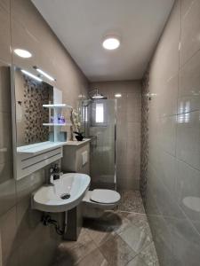 La salle de bains est pourvue d'un lavabo, de toilettes et d'une douche. dans l'établissement Apartments and rooms with parking space Makarska - 18106, à Makarska