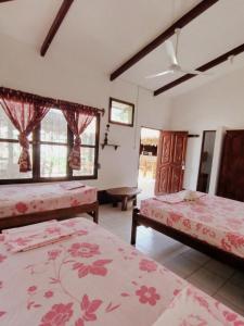 a room with two beds and two windows at El Curichal Hostel in Rurrenabaque