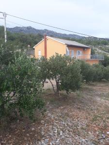 Fotografie z fotogalerie ubytování Apartments with a parking space Tribanj, Paklenica - 18136 v destinaci Starigrad-Paklenica