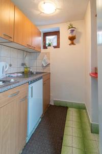 a kitchen with a green floor in a room at Apartments with parking space Slunj, Plitvice - 18152 in Slunj