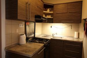 Kuchyň nebo kuchyňský kout v ubytování Apartments with a parking space Sveti Vid, Krk - 18139 + 14 fotografií