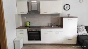 Kuchyňa alebo kuchynka v ubytovaní Apartments with parking spaces Rijeka - 18146
