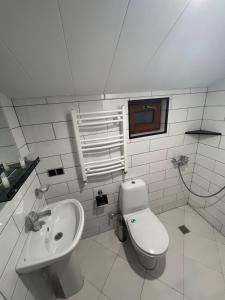a white bathroom with a toilet and a sink at Borjomi Yellow Hotel in Borjomi