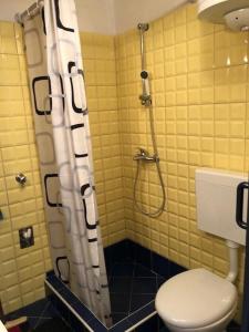 a bathroom with a shower with a toilet in it at Apartments by the sea Susak, Losinj - 18202 in Susak
