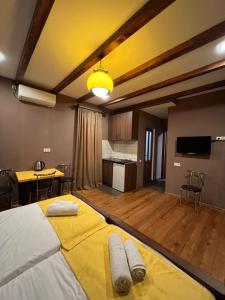 טלויזיה ו/או מרכז בידור ב-Borjomi Yellow Hotel