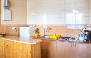 kuchnia z blatem, zlewem i lodówką w obiekcie Beautiful Apartment In Kopalino w mieście Kopalino