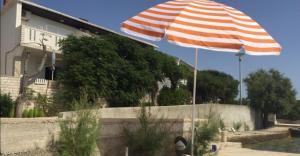 Zahrada ubytování Apartments by the sea Kustici, Pag - 18248