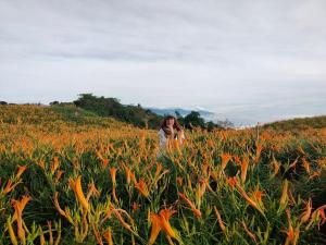 Gestir sem dvelja á Mi Xiang Homestay