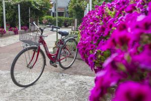 una bici parcheggiata accanto a un mazzo di fiori viola di Apartments with a parking space Fazana - 18334 a Fažana