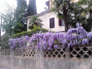 un montón de flores púrpuras en una valla en Rooms with WiFi Rijeka - 18278 en Rijeka