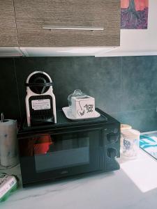 モン・サンテニャンにあるGîtes Les Luciolesの黒の電子レンジ(上部にボックス付) +7枚の写真
