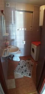 a bathroom with a white toilet and a sink at Apartments with a parking space Kamenjak, Crikvenica - 18348 in Grižane