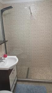 een badkamer met een douche en een wastafel bij Apartament cu 1 camera spatios ,luminos . in Cugir