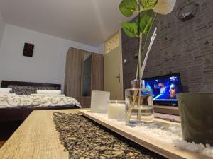a room with a table with a tv and a bed at Banjica 2 in Voždivac