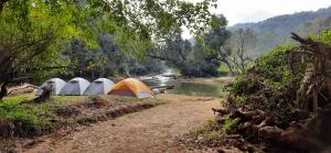 un groupe de tentes sur le bord d'une rivière dans l'établissement Coorg River Rock Camping, à Madikeri