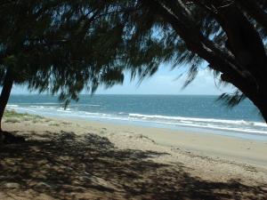 a beach with a tree and the ocean at Ocean Breeze Units in Bowen