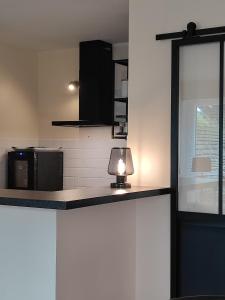 kuchnia z mikrofalówką i blatem z lampą w obiekcie Le 3 appartement vue mer avec jardin 100m de la plage et de la thalasso w mieście Concarneau