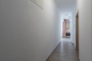 Zdjęcie z galerii obiektu Apartments by the sea Simuni, Pag - 18386 w mieście Kolan