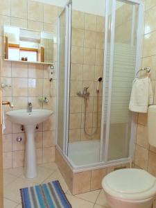 Kúpeľňa v ubytovaní Apartments with a parking space Mokalo, Peljesac - 18395