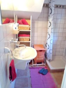 y baño pequeño con lavabo y ducha. en Holiday house with a parking space Pisak, Omis - 18432, en Mimice