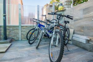 Jazda na bicykli v okolí ubytovania Apartments with parking spaces Vir - 18517