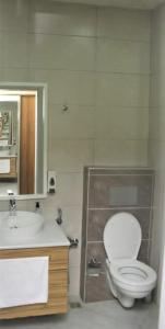 ein Bad mit einem WC und einem Waschbecken in der Unterkunft Lankaran Olimpiya Hotel in Länkäran