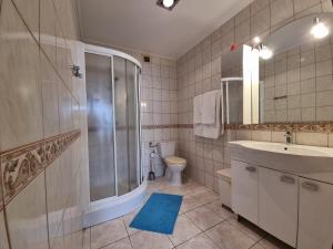 uma casa de banho com um chuveiro, um lavatório e um WC. em Biłgoraj Aparthotel em Bilgoraj