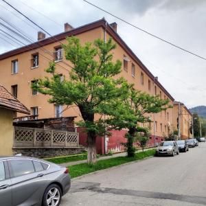ein Baum vor einem Gebäude mit geparkten Autos in der Unterkunft Apartament Camelia in Petroşani