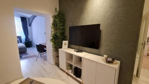 TV a/nebo společenská místnost v ubytování Apartment near Congress Centre I.