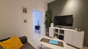 TV a/nebo společenská místnost v ubytování Apartment near Congress Centre I.