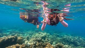 two people swimming over a coral reef at Lipe Garden Beach Resort in Ko Lipe