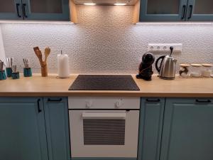 A kitchen or kitchenette at Jégmadár Apartman