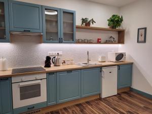 A kitchen or kitchenette at Jégmadár Apartman