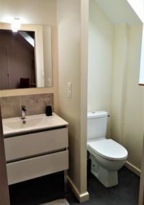 La salle de bains est pourvue de toilettes, d'un lavabo et d'un miroir. dans l'établissement Le Penty de Nalzu, à Saint-Yvy