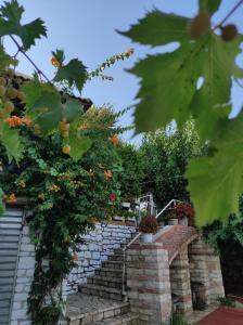 a brick path with flowers and plants on it at Guesthouse Villa Joanna&Mattheo in Sarandë