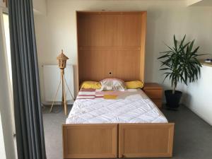 1 dormitorio con 1 cama grande y cabecero de madera en Anglet sables d'or - vue océan, en Anglet