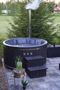 a hot tub with a fountain in a yard at Domki Letniskowe Pola in Ryn