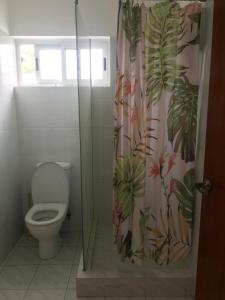 a bathroom with a toilet and a shower curtain at Royale Self Catering Apartments in Anse Royale