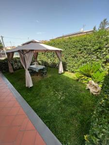 een tuin met een parasol en een tafel op het gras bij Casa Vacanze Volpe Dell'Etna in Nicolosi