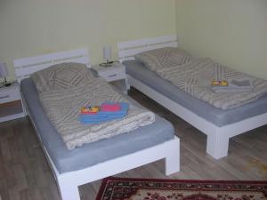 two twin beds in a room with a rug at Kleine FEWO zentral gelegen in Künzell