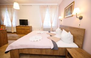 Posteľ alebo postele v izbe v ubytovaní Hotel Džbán
