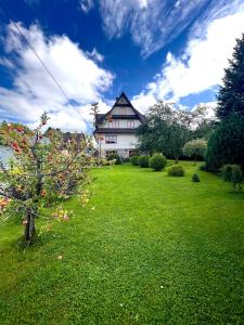 a house with a green yard with a tree at Noclegi u Masnych in Witów