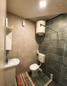 ein kleines Bad mit WC und Waschbecken in der Unterkunft Studio Apartman Nina - Pale in Pale